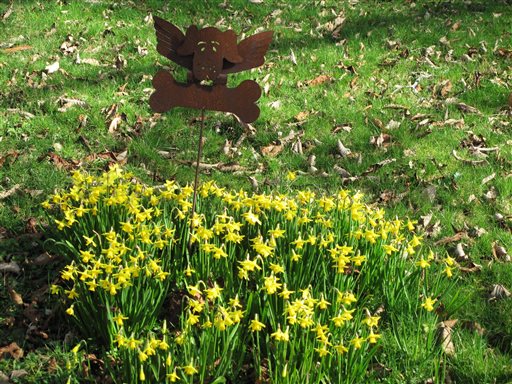 Gardening-Pruning Bulbs